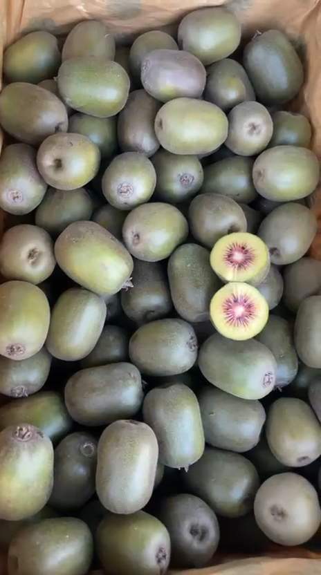 قیمت کیوی سبز