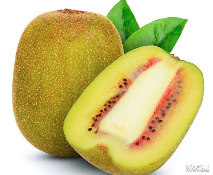 خرید کیوی سبز