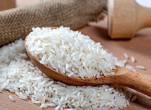 قیمت خرید برنج فجر شمال + فروش ویژه