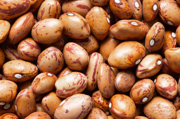 تصویر 3 از قیمت ویژه لوبیا چیتی اعلاء