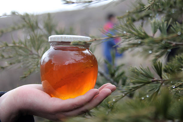 تصویر 1 از قیمت عسل جنگلی + خرید باور نکردنی