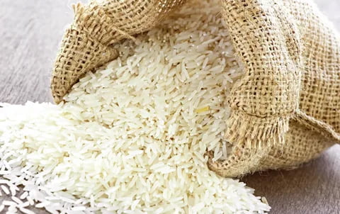 تصویر 1 از خرید برنج پاکستانی عالی + قیمت فروش استثنایی