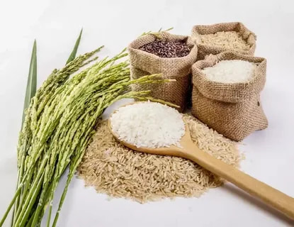 تصویر 3 از خرید برنج پاکستانی عالی + قیمت فروش استثنایی