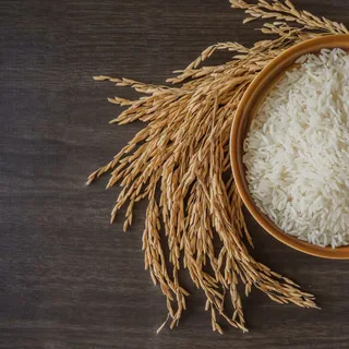 قیمت برنج پاکستانی عمده + خرید باور نکردنی
