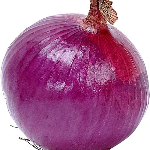 تصویر 1 از قیمت خرید پیاز سماقی + فروش ویژه