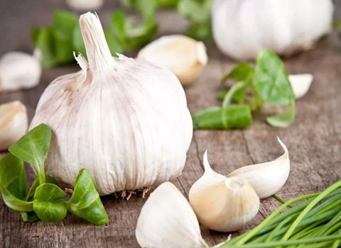 تصویر 4 از خرید و قیمت سیر سفید شیشه ای صادراتی + فروش عمده