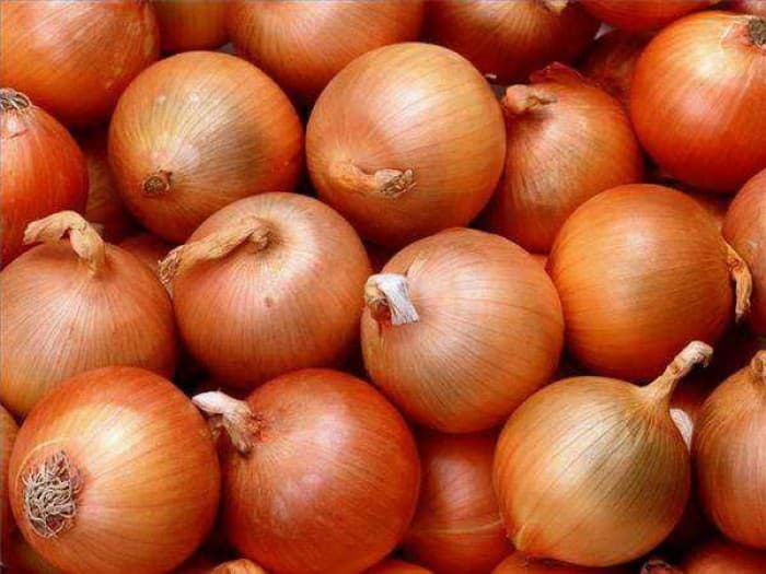 تصویر 1 از فروش پیاز ضد باکتری + قیمت خرید به صرفه