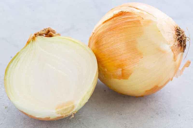 تصویر 2 از فروش پیاز ضد باکتری + قیمت خرید به صرفه