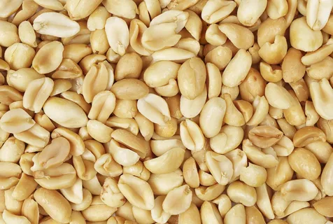 تصویر 3 از خرید و قیمت بادام زمینی خام + فروش عمده