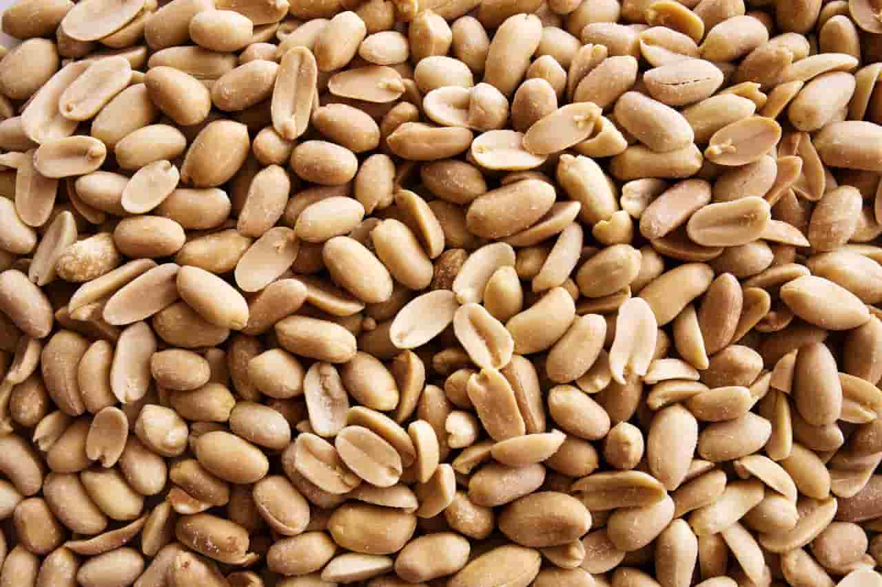 تصویر 3 از فروش بادام زمینی برشته ایرانی + قیمت خرید به صرفه