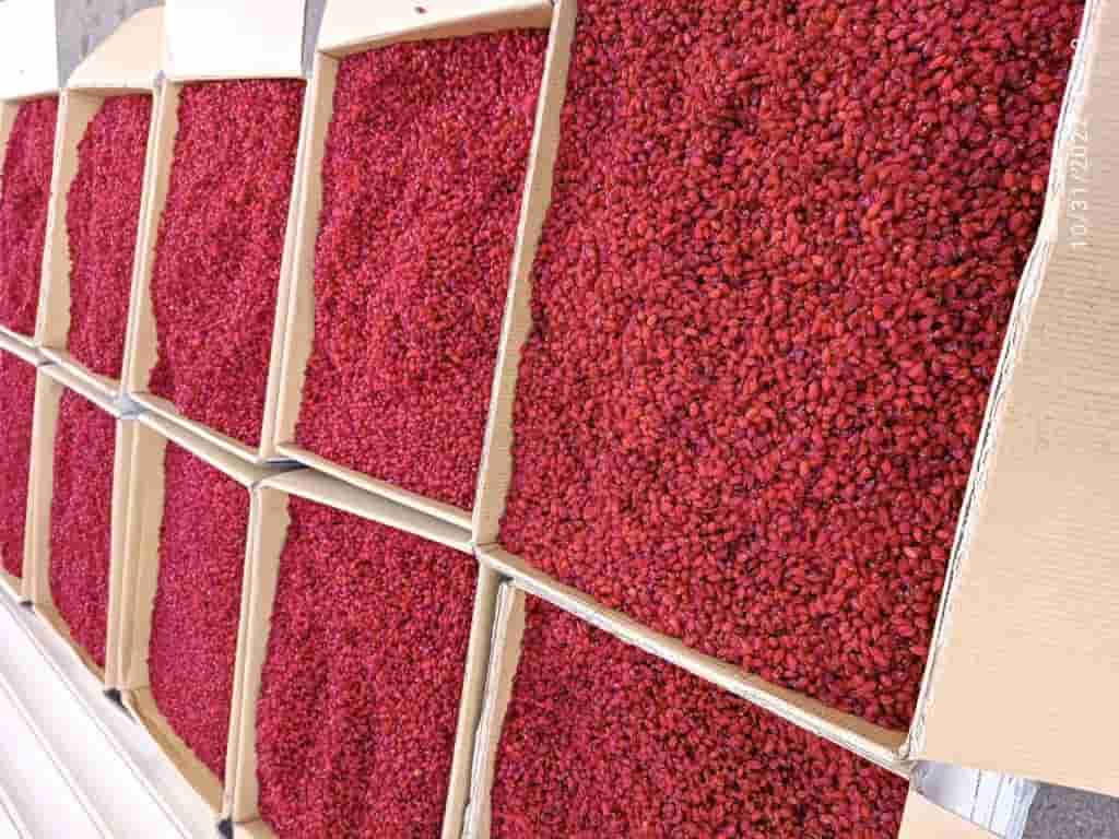 تصویر 2 از خرید زرشک عمده + قیمت فروش استثنایی