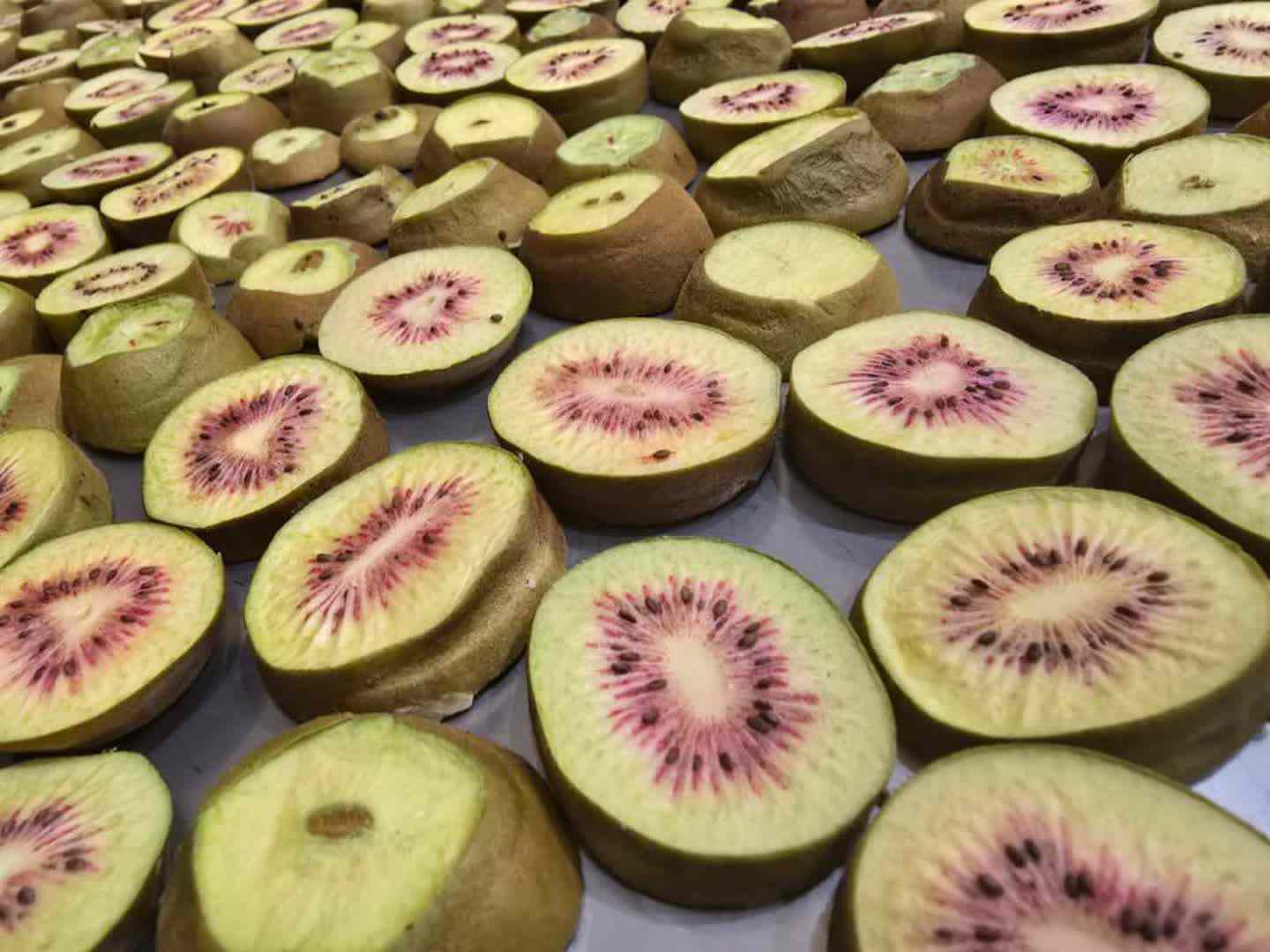 تصویر 1 از قیمت و خرید میوه خشک پفکی مخلوط + تخفیف ویژه