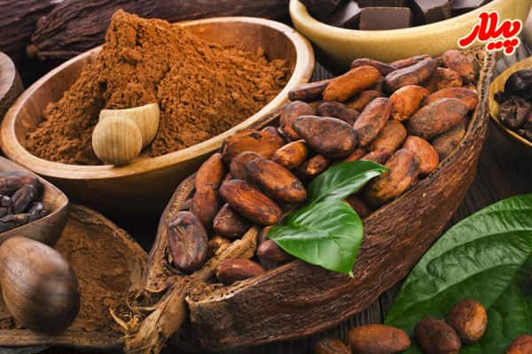 تصویر 2 از خرید قهوه خرما ارگانیک + قیمت فروش استثنایی