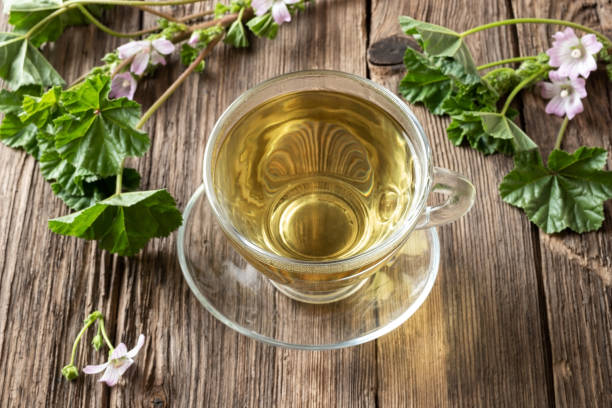 تصویر 1 از فروش دمنوش بادرنجبویه ترکیبی + قیمت خرید به صرفه