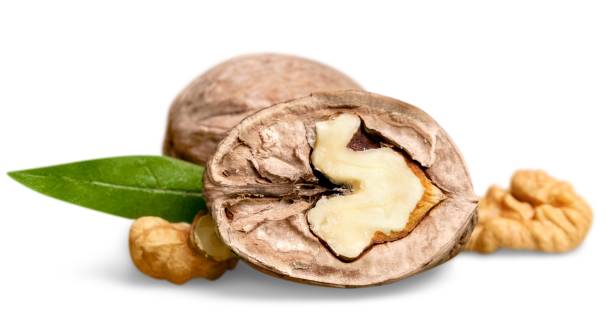 خرید گردو تازه امسال + قیمت فروش استثنایی