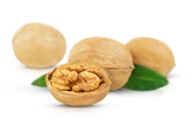 تصویر 3 از قیمت گردو الشتر + خرید باور نکردنی