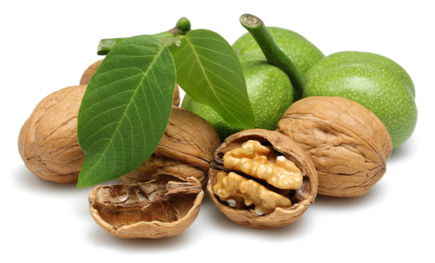 تصویر 4 از قیمت خرید گردو اقلید فارس + فروش ویژه