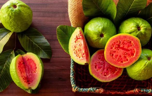 تصویر 5 از فروش اینترنتی گواوا + خرید اینترنتی زیتون پاکستانی
