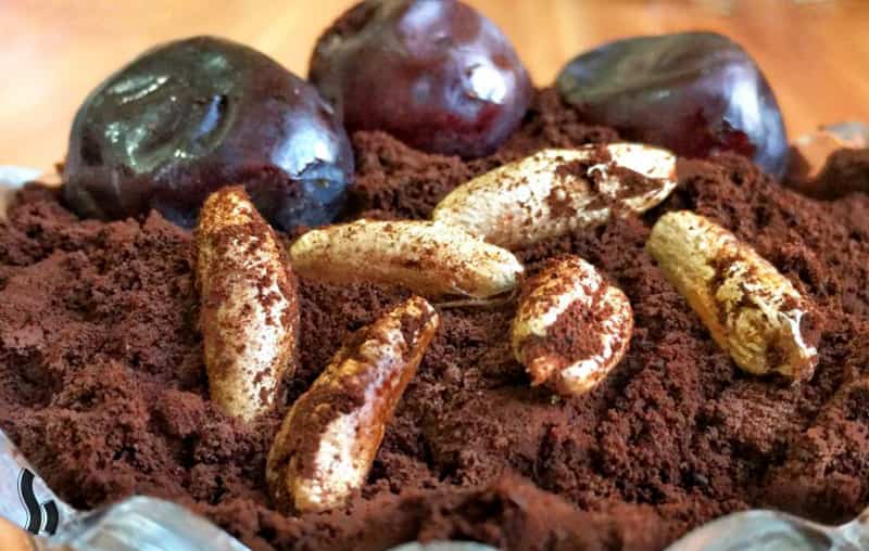تصویر 4 از فروش قهوه ارگانیک خرما + قیمت خرید به صرفه