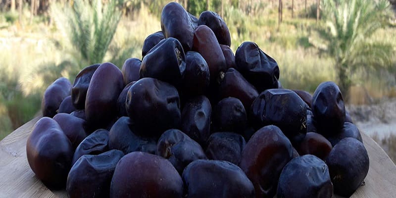 خرید و قیمت خرما رطب عسلی + فروش عمده