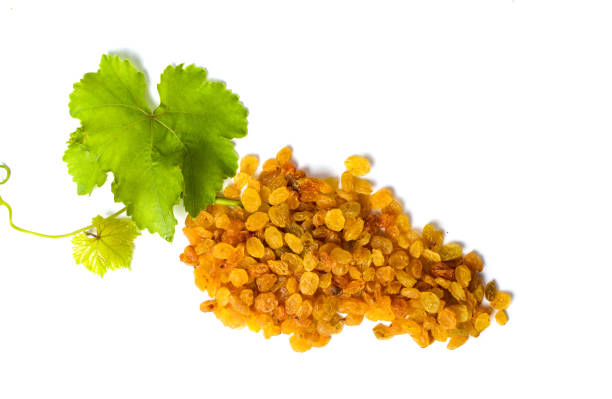 تصویر 1 از فروش کشمش آفتابی بدون هسته + قیمت خرید به صرفه