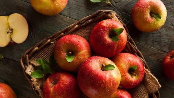 تصویر 1 از قیمت خرید سیب جنگلی گیلان + فروش ویژه