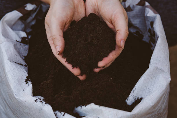 تصویر 2 از قیمت کود ورمی کمپوست فله‌ ای + فروش ویژه