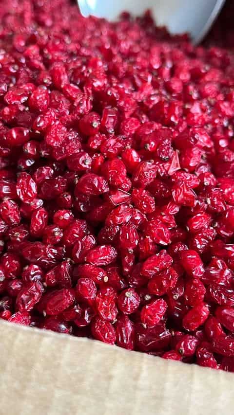 تصویر 1 از فروش زرشک پفکی اعلا قیمت خرید به صرفه
