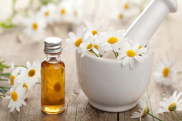 تصویر 3 از خرید و فروش عصاره گیاه دارویی بابونه کوهی با شرایط فوق العاده