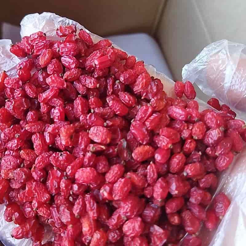 تصویر 2 از قیمت خرید زرشک پفکی صادراتی عمده به صرفه و ارزان