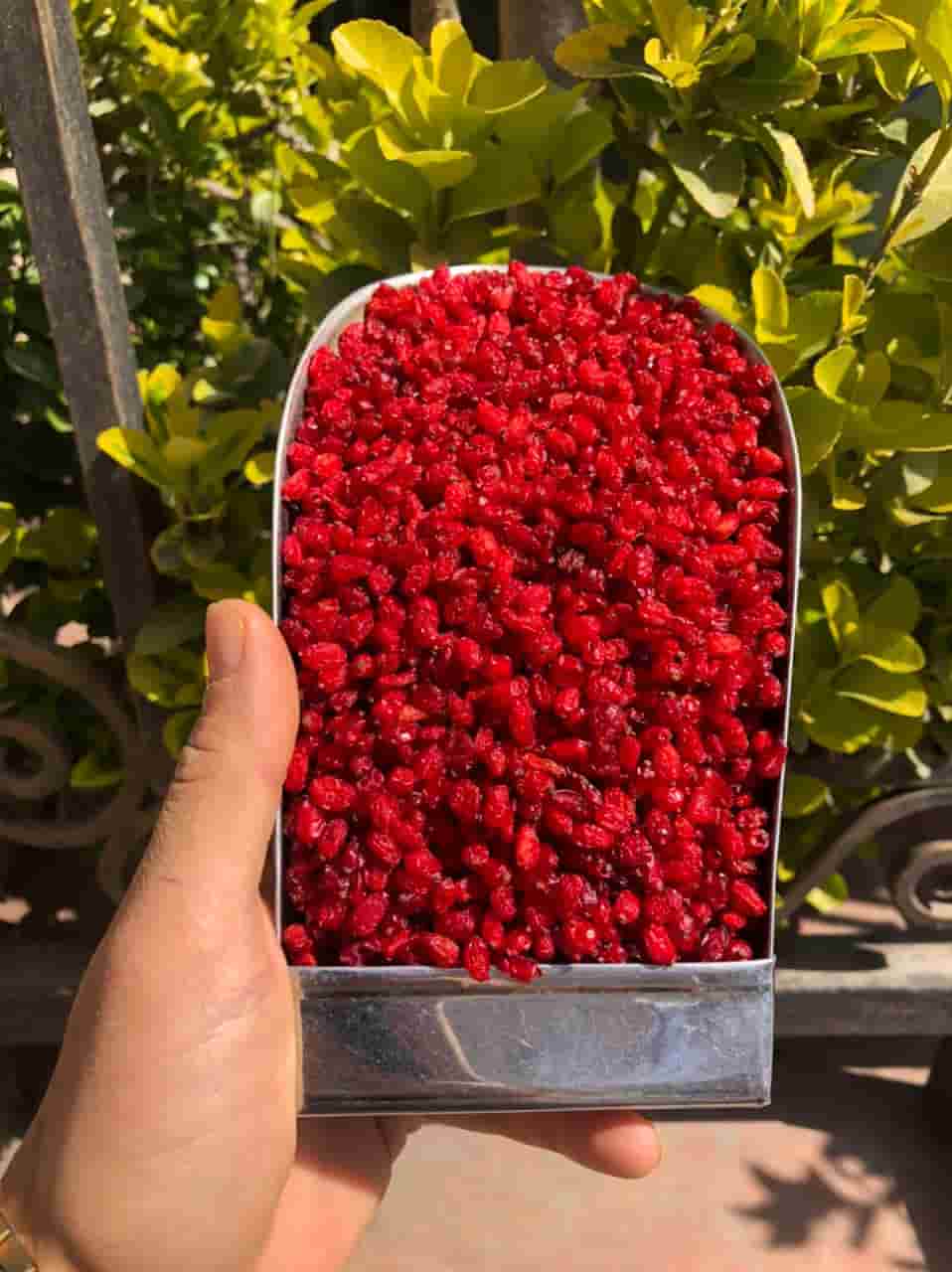 تصویر 4 از خرید و قیمت زرشک پفکی لوکس + فروش عمده