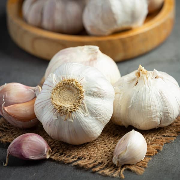 تصویر 4 از خرید و قیمت سیر درجه یک + فروش عمده