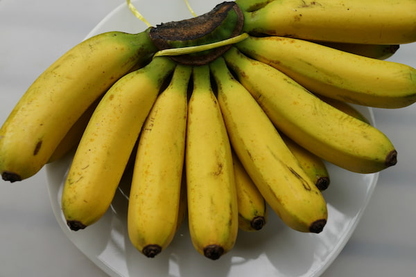 تصویر 2 از خرید موز چابهار + قیمت فروش استثنایی