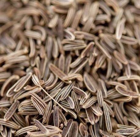 تصویر 2 از تخفیف همکاری برای قراردادهای بیش از ۱۰ تُن زیره سبز صادراتی