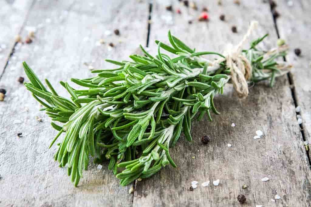 تصویر 1 از خرید آویشن شیرازی + قیمت فروش استثنایی