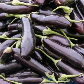 تصویر 2 از قیمت خرید بادمجان قلمی ورامین + فروش ویژه