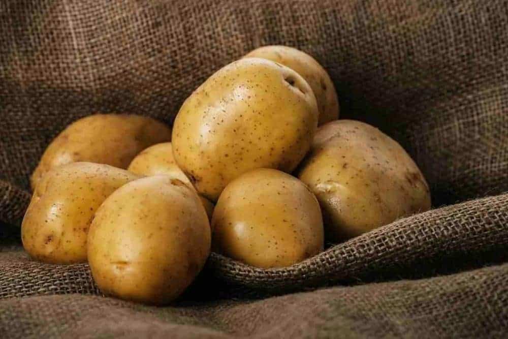 قیمت خرید سیب زمینی راشیدا درهم عمده به صرفه و ارزان