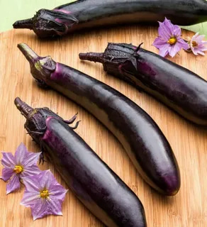 تصویر 1 از قیمت بادمجان قلمی ژاپنی با کیفیت ارزان + خرید عمده
