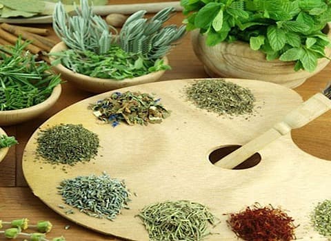 آویشن تازه