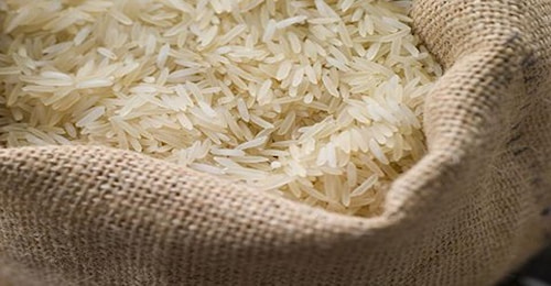 خرید برنج ممتاز چمپا + قیمت فروش استثنایی
