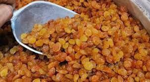 تصویر 2 از فروش کشمش طلایی کاشمر + قیمت خرید به صرفه