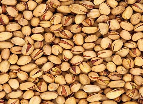 فروش پسته شاه پسند