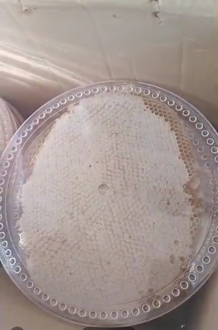 تصویر 2 از قیمت شگفت انگیز عسل با شان زایگر + فروش استثنایی