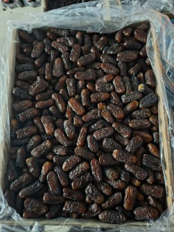 تصویر 2 از خرید خرما پیارم سیاه + بهترین قیمت