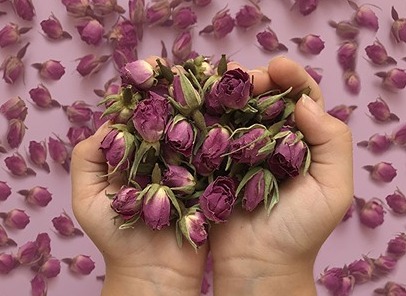 تصویر 1 از قیمت خرید  غنچه گل محمدی با فروش عمده
