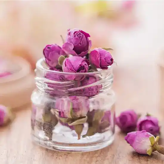 تصویر 3 از قیمت خرید  غنچه گل محمدی با فروش عمده