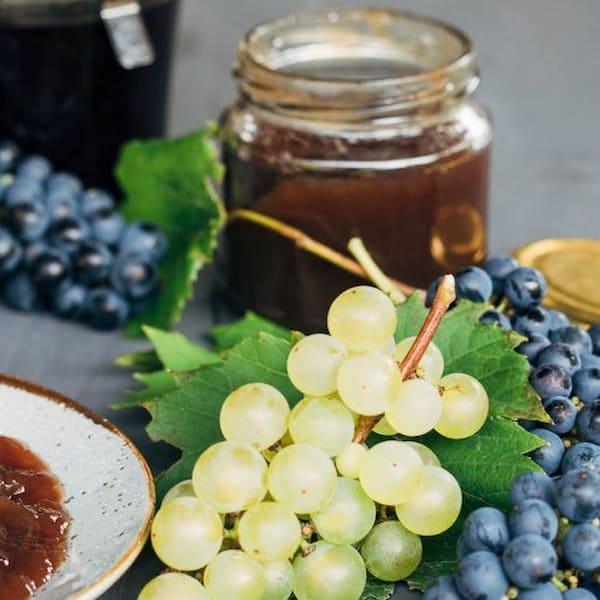 تصویر 4 از خرید وقیمت شیره انگور طبیعی + فروش عمده