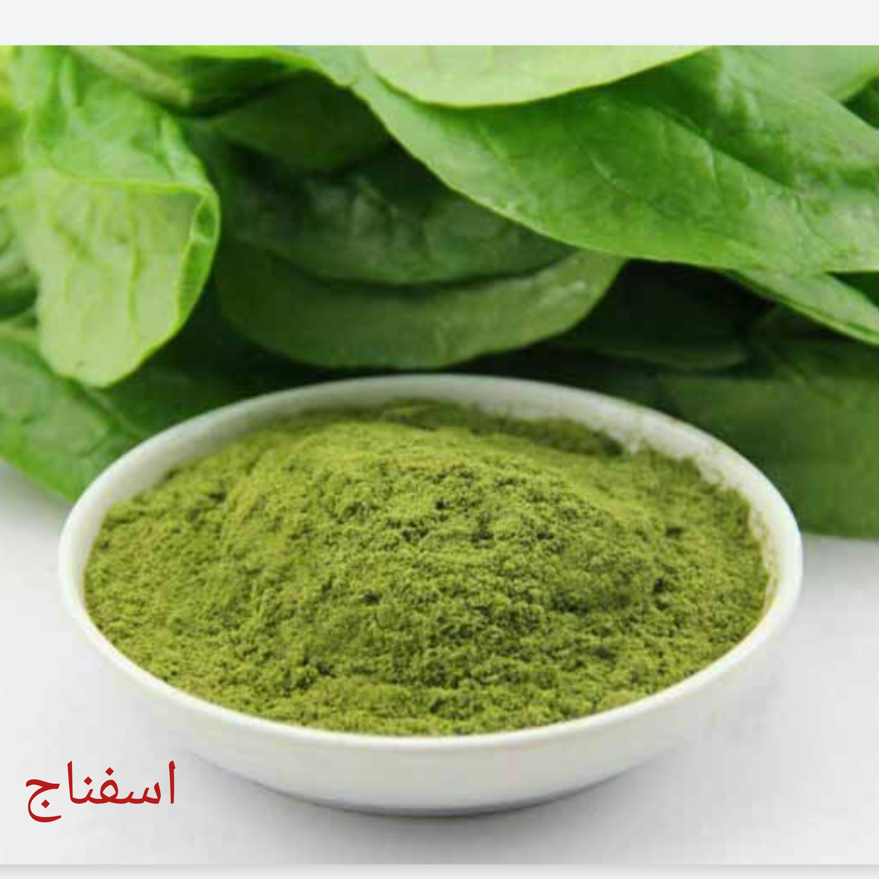 تصویر 1 از فروش عمده سبزی خشک اسفناج + نازلترین قیمت