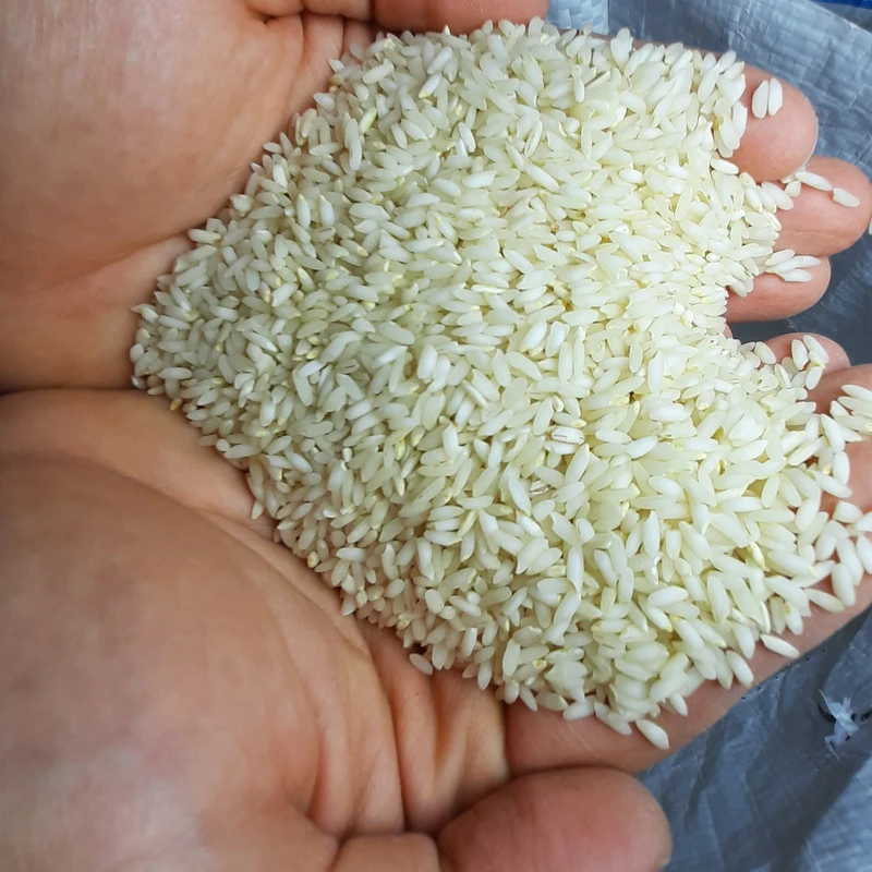 تصویر 3 از خرید برنج عنبر بو اصل + قیمت فروش استثنایی