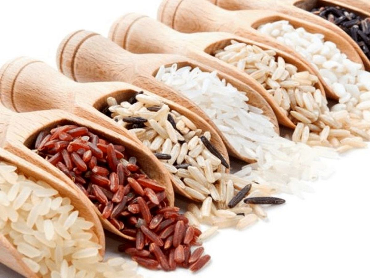 تصویر 2 از قیمت خرید برنج چمپا اعلاء + فروش ویژه